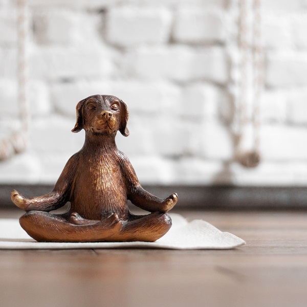 Замена в группе Юлии Степанюк. 24 апреля