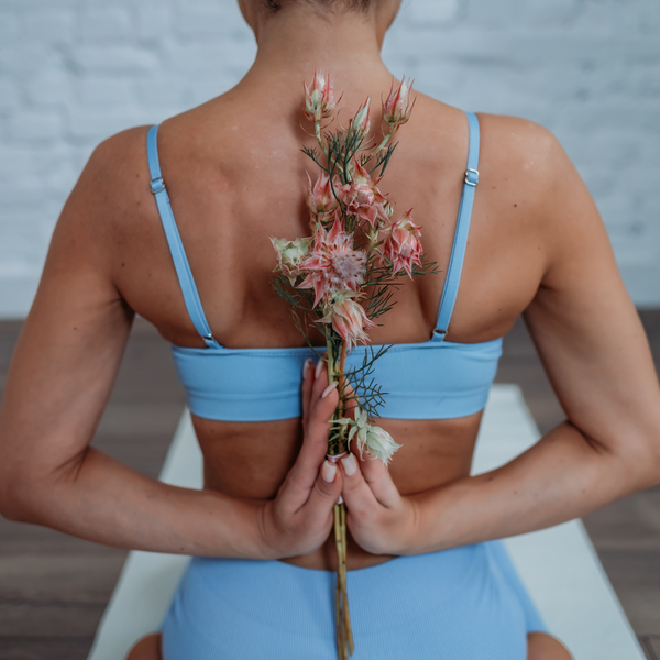 День зимнего солнцестояния